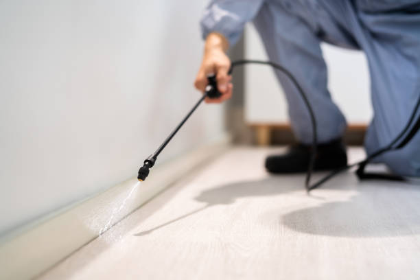 Licensed Pest Control service in Knox County County, IN - Nex Pest Control