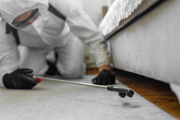 Professional Pest Control technician working in Knox County County, IN